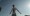 SerJ_D